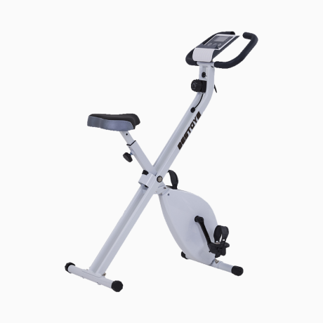 fitness bike BGB101 1 460