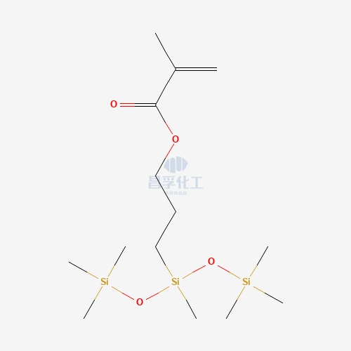 methylsilane 19309 90 1