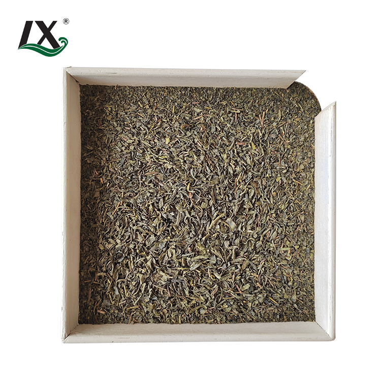 Premium Quality Green Tea Chunmee Tea 9369