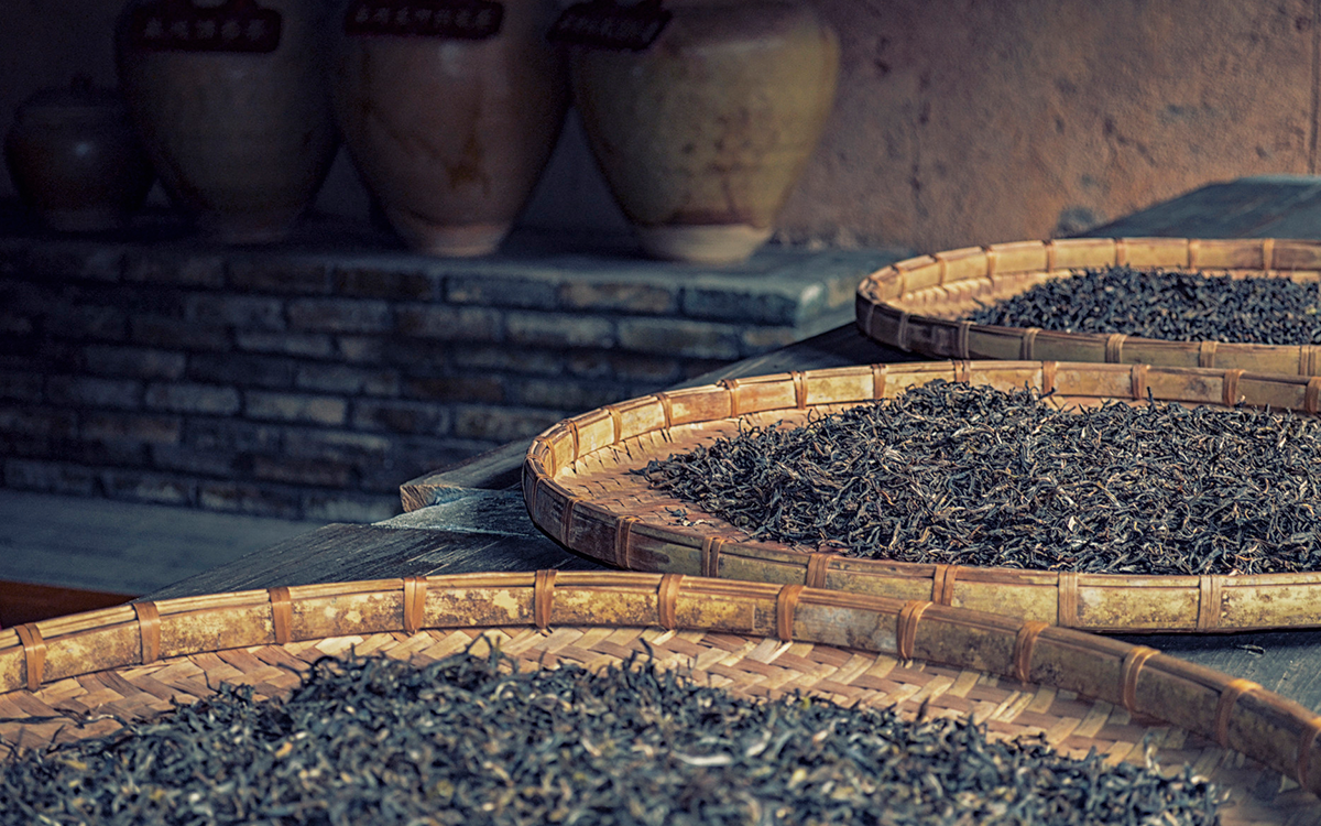 PU'ERH TEA