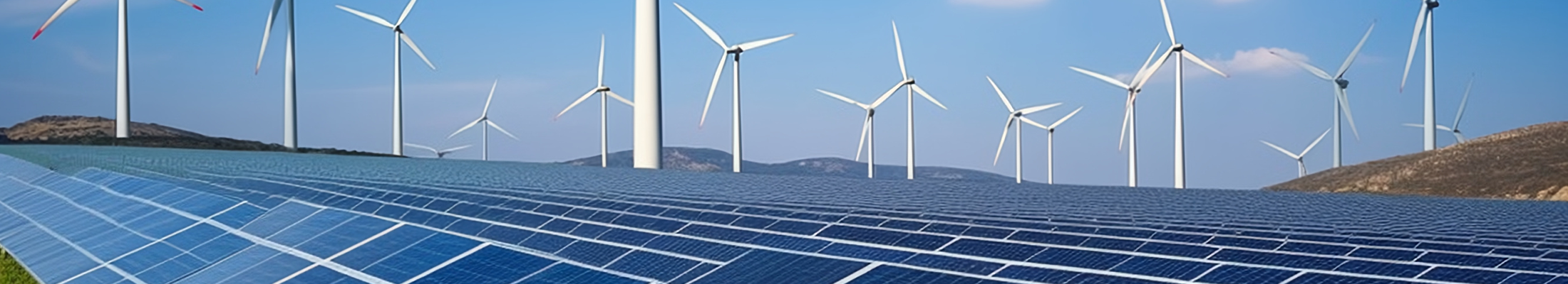 Renewable Energy Integration