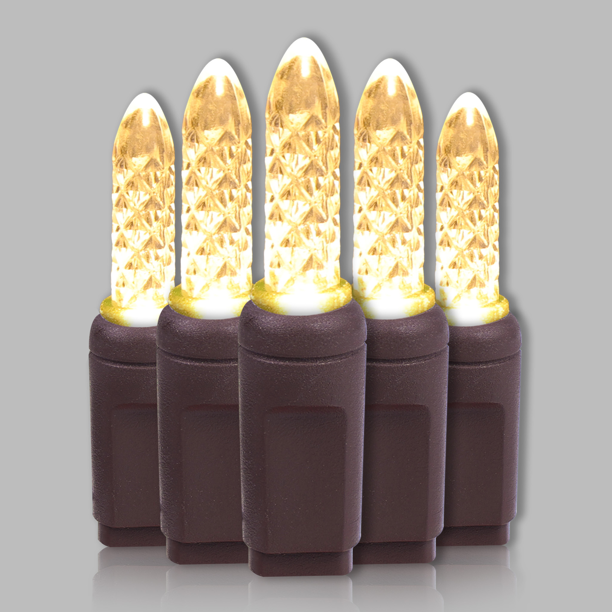 M5 Warm White Lights Brown Wire