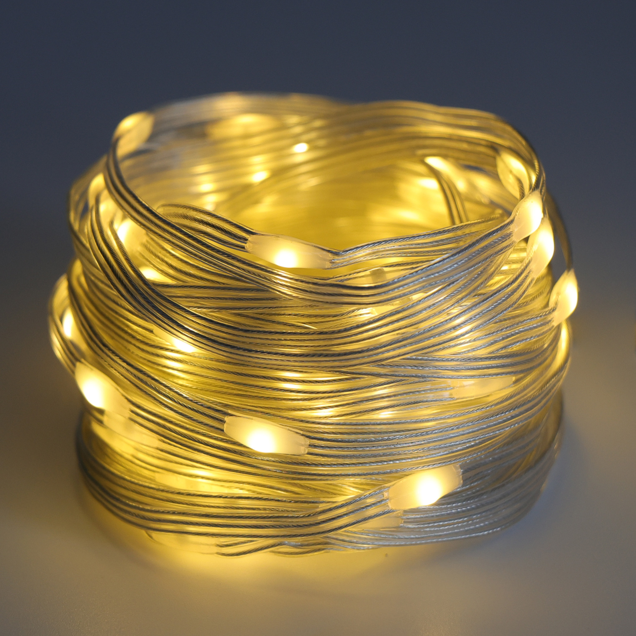 Warm White Rope Lights Transparent Wire