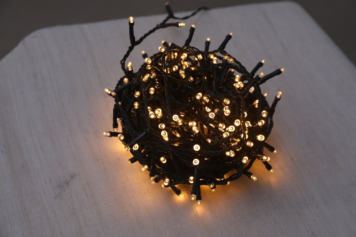 V5灯串墨绿线暖光（2）