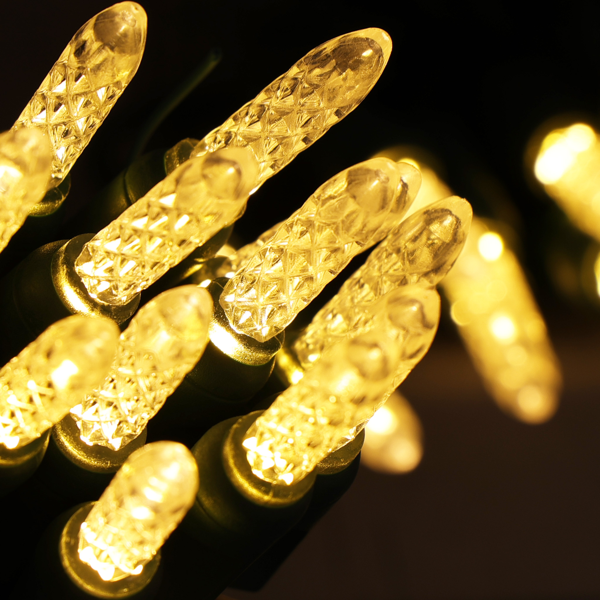 M5 Warm White Lights Green Wire