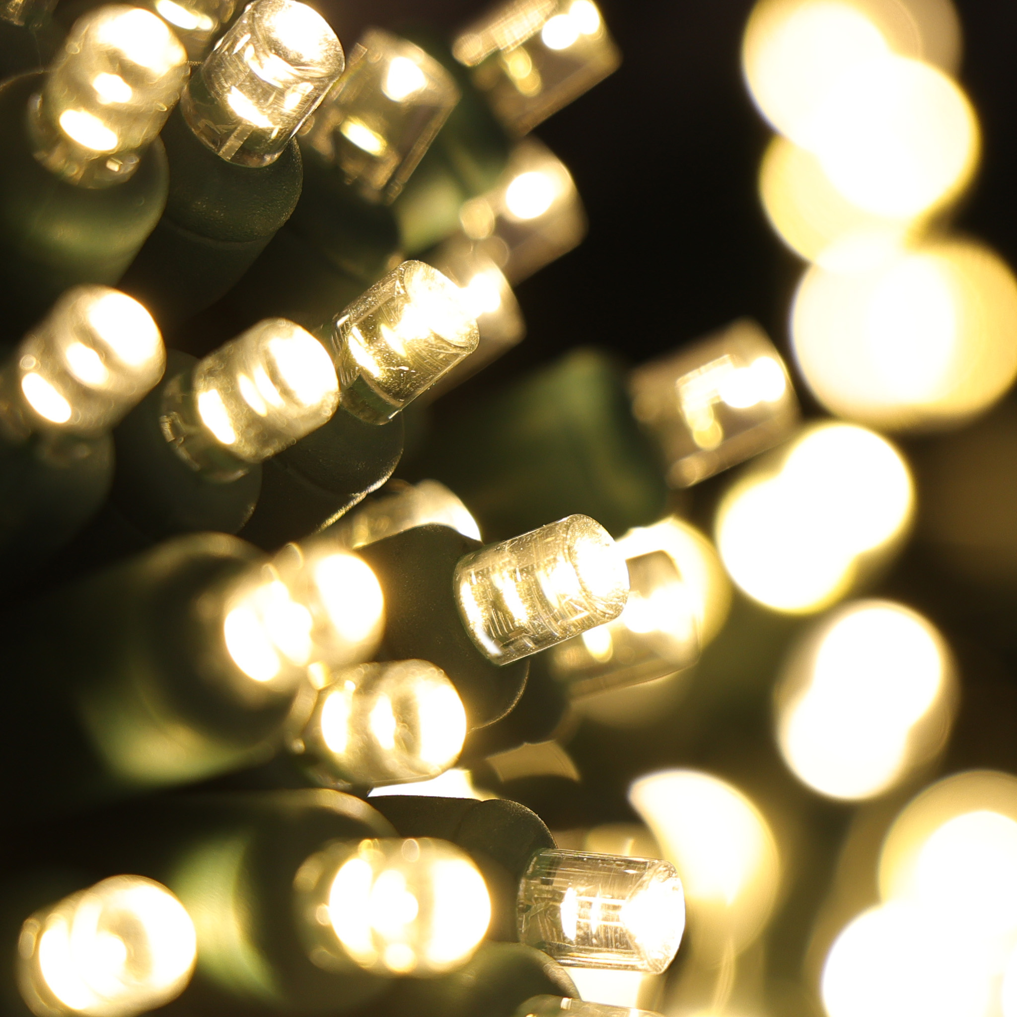 Curtain Warm White Lights Green Wire