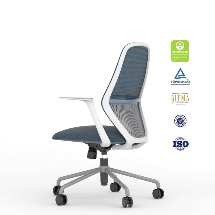 Adjustable Mesh Ergonomic Office Chair TIME AMW 01