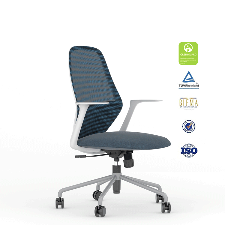 Adjustable Mesh Ergonomic Office Chair TIME AMW