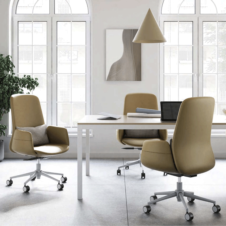 Ergonomic Executive Leather Office  01