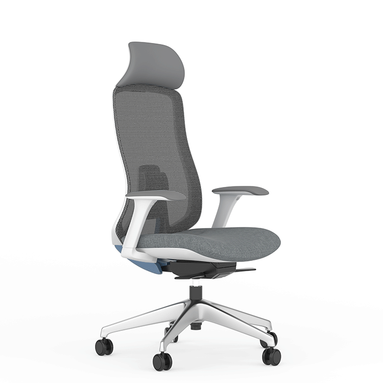 Modern Office Chairs FEDO GHW 01