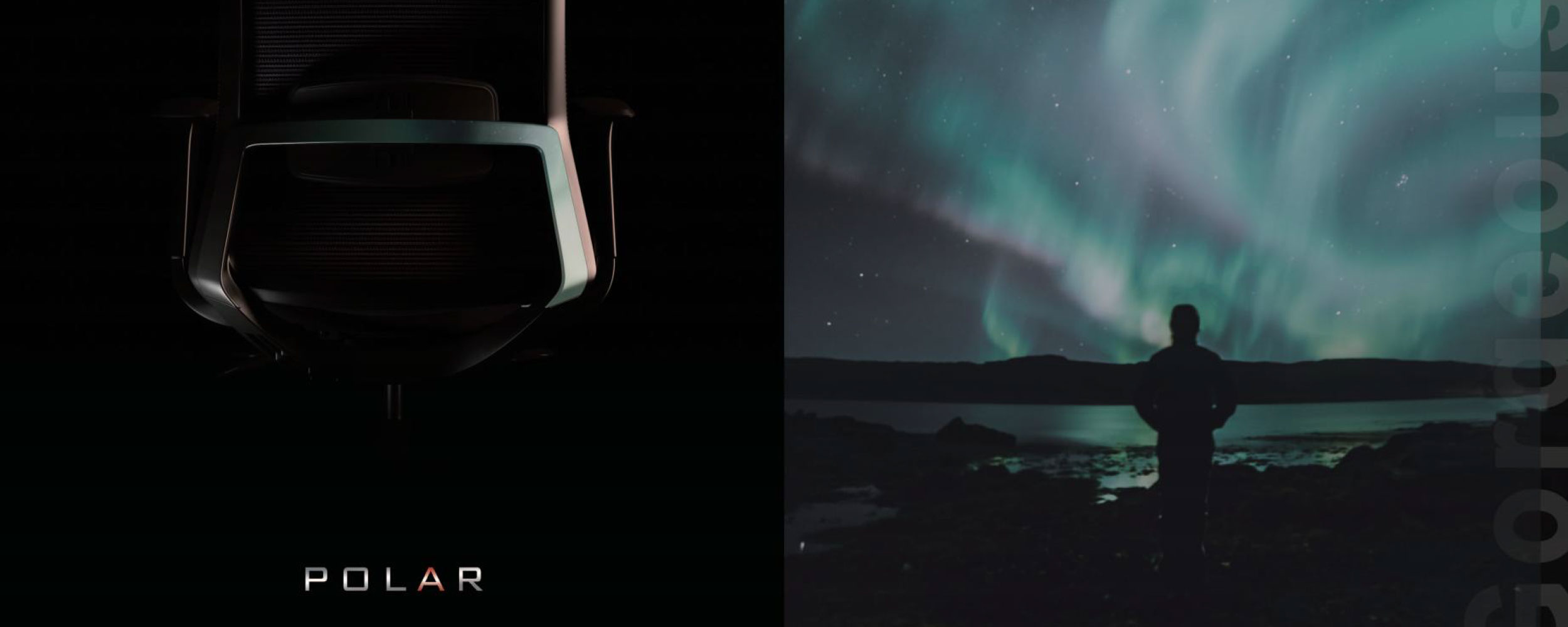 POLAR-BANNER