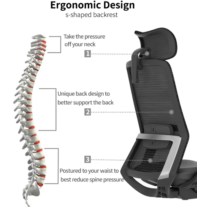 Commercial Ergonomic Office Chair with Headrest