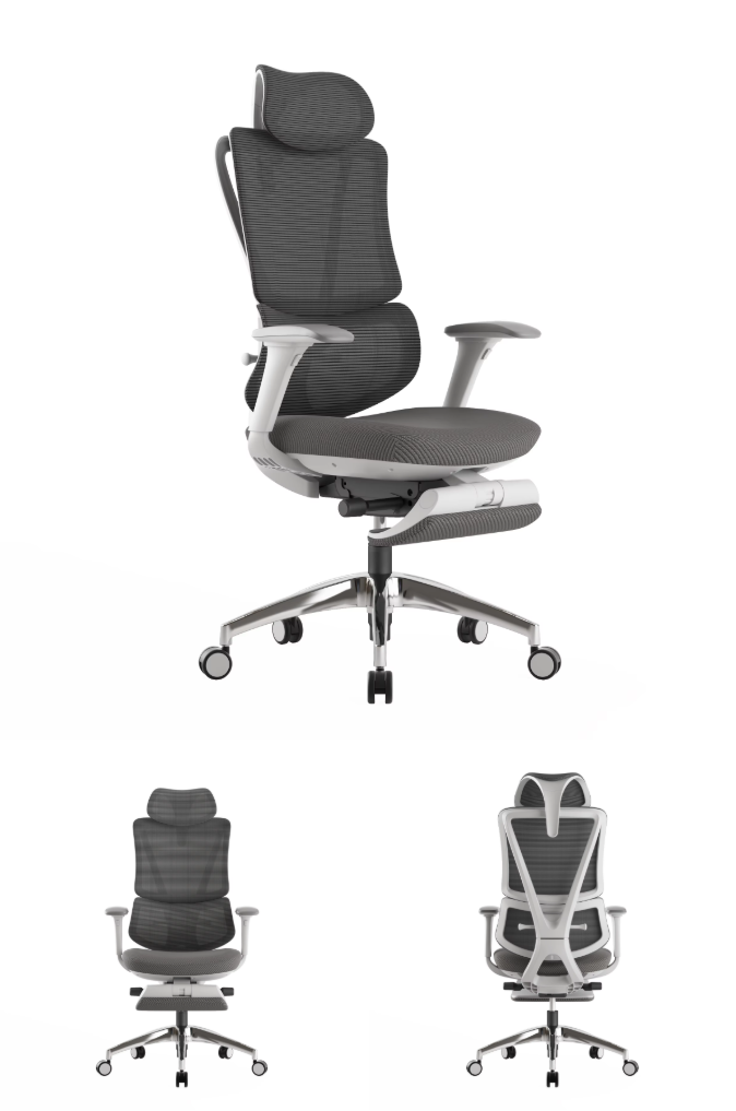 Modern Mesh Ergonomic Office Chair