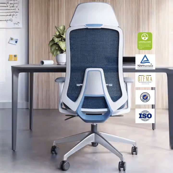 Ergonomic Chairs