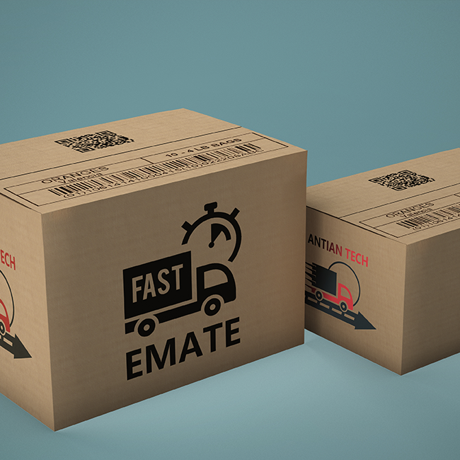 Carton-Date-Coding
