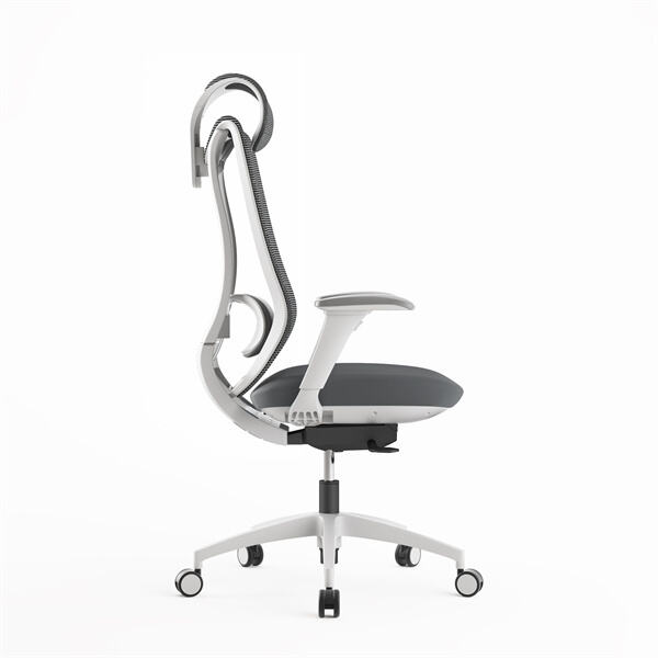 Uses and exactly how to make use of High Back Mesh Ergonomic Chairs