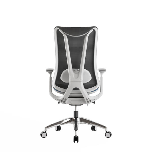 Usage of Mesh Mid-Back Ergonomic Office Chair