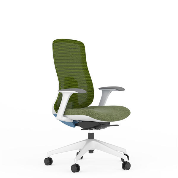 Usage of Mesh back office chair