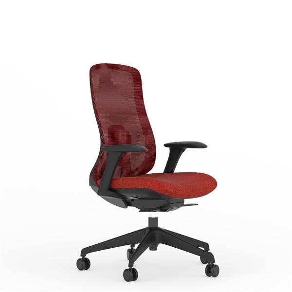 Use and Application of Back mesh office chair