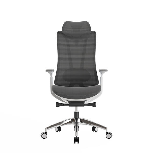 Innovation in Mesh Chair Ergonomic