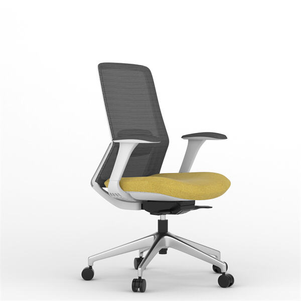 Innovation in Mesh Back Computer Chairs