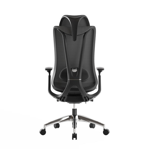 Having an Ergonomic Mesh Office Chair