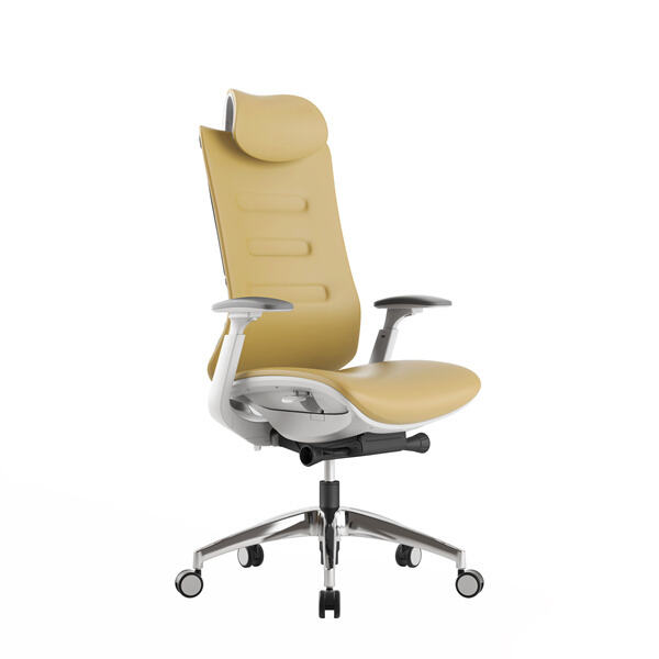 Highlights of a Leather Rolling workplace seat: