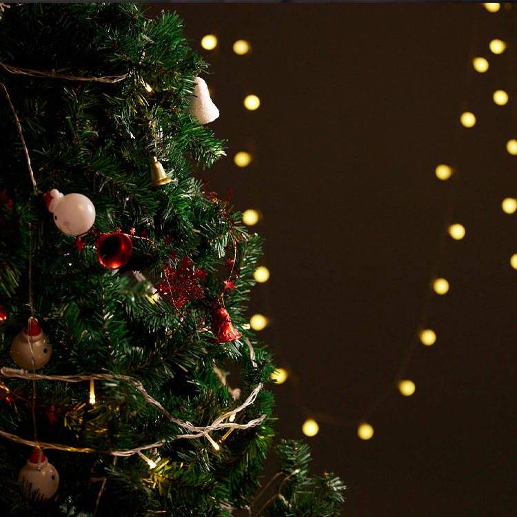 Christmas Decoration