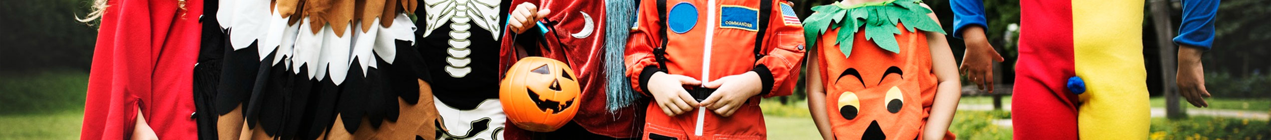 Costumes Banner