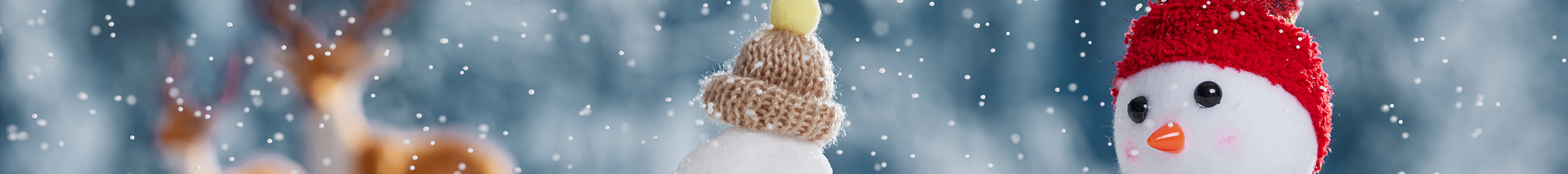 Holiday Party Banner 01