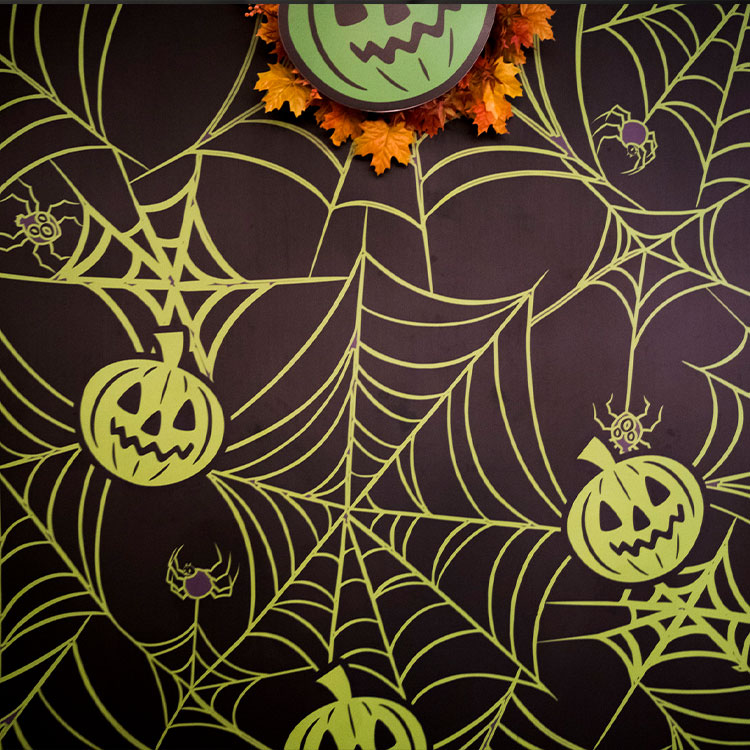 Spider Webs