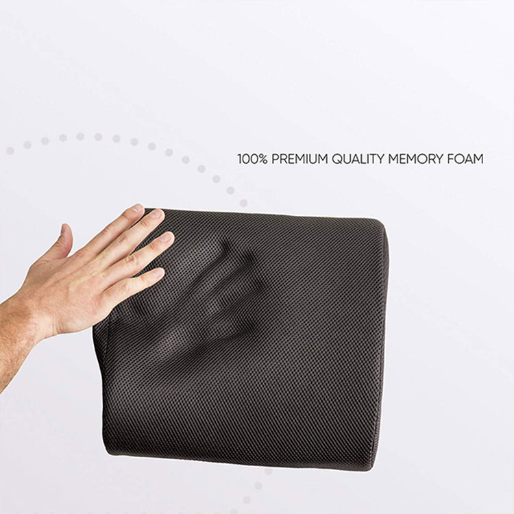 Lumbar Cushion