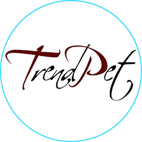 logo4