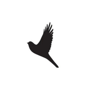 bag-logo-1
