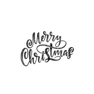 bag-logo-3