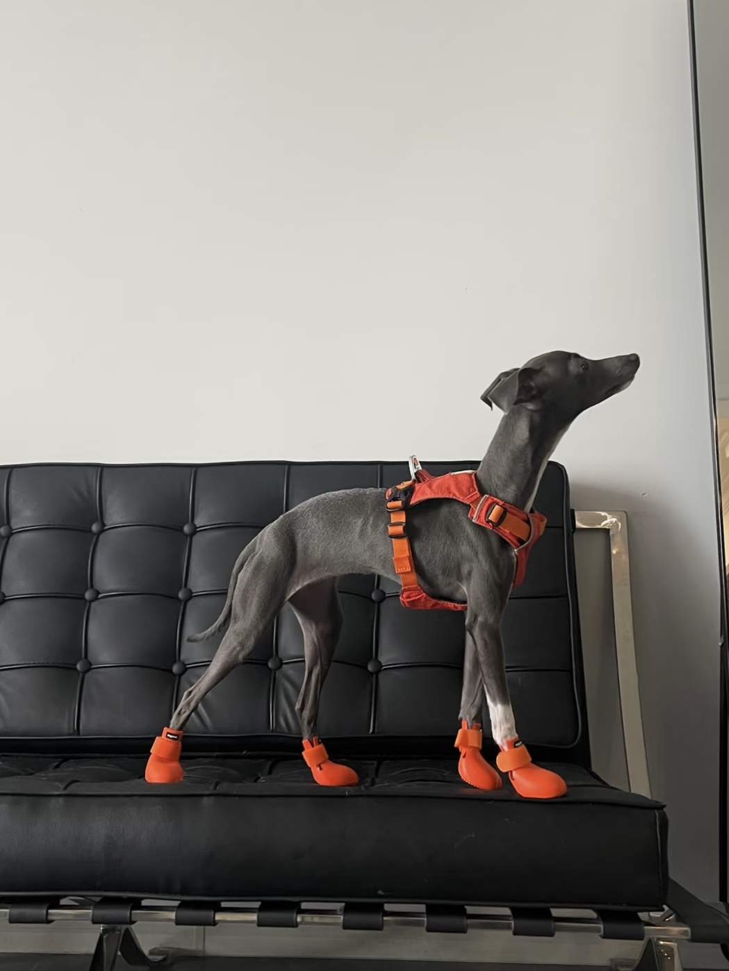 D5bf8eab A554 412d 9149 197633a7b08c