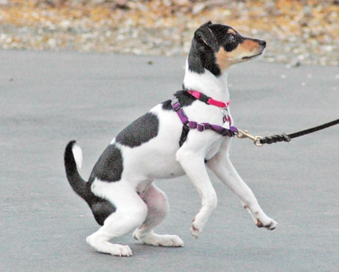 企业微信截图_20260202103658