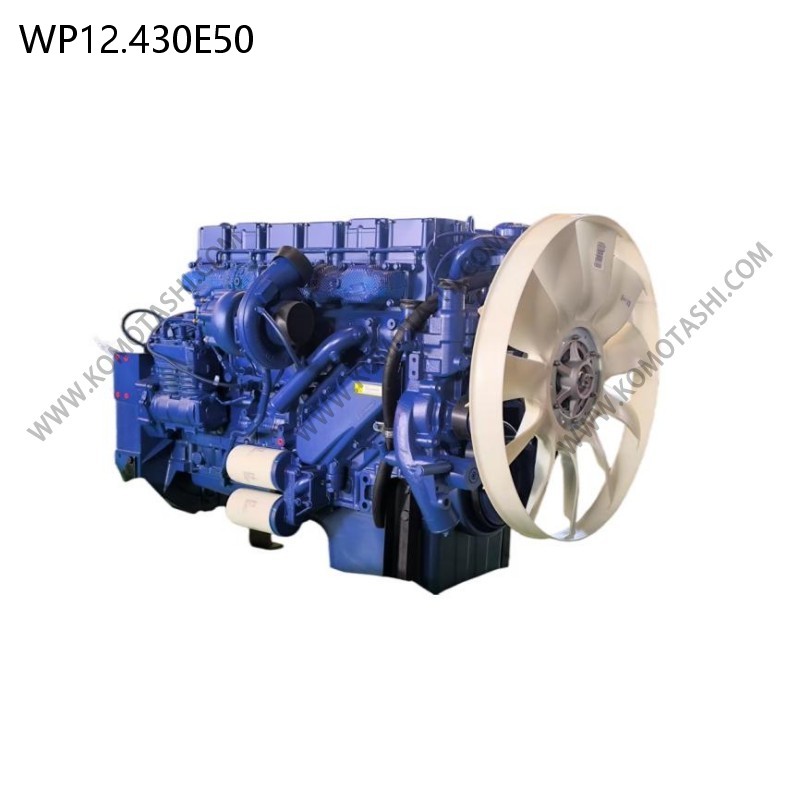 WP12