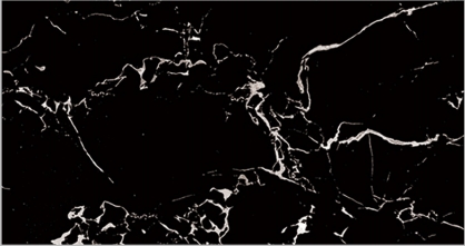 F009 1