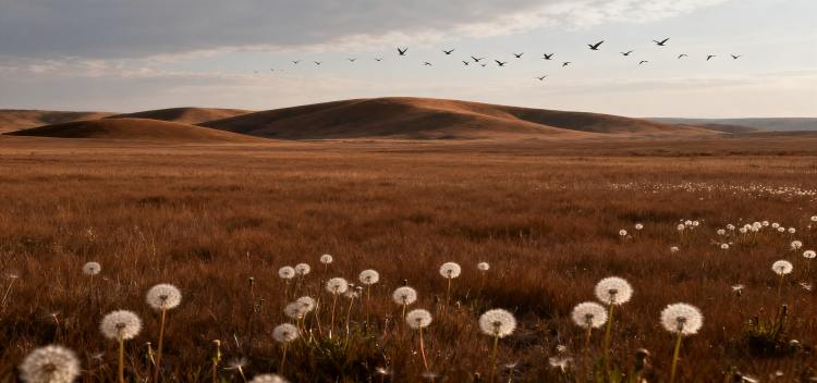 Earth Element Natural Crystal Jewelry Thick Earth Energy Balance Aura & Increase Tolerance